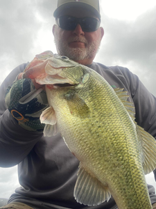 Pickwick Lake: angler's paradise!